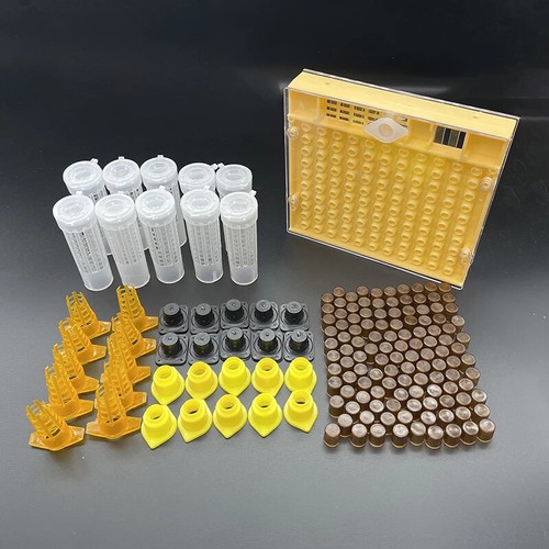 Beekeeping king queen bee - king,