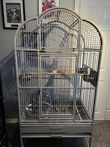 King cage large - cage,